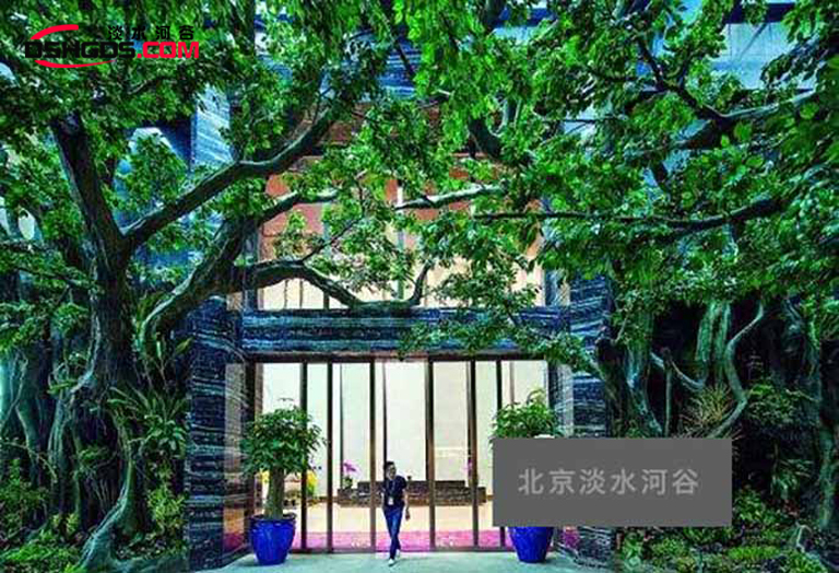 仿真樹.jpg 仿真樹