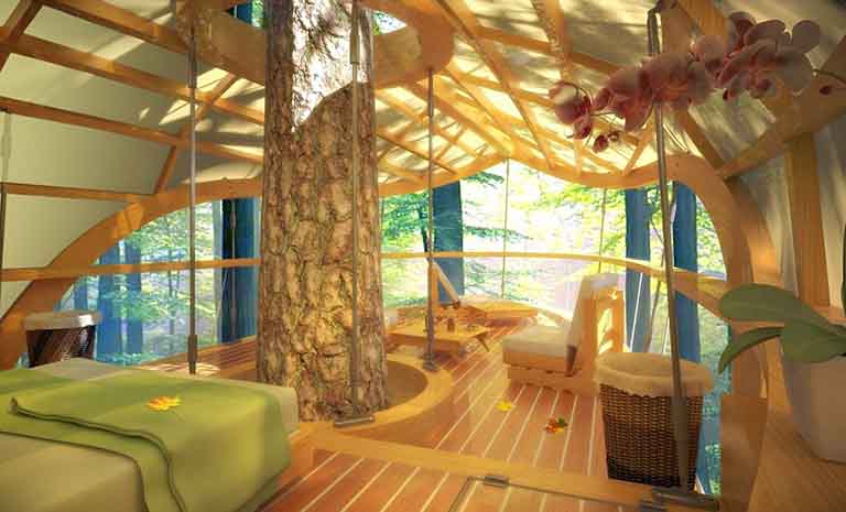 博物館假樹.jpg 博物館假樹