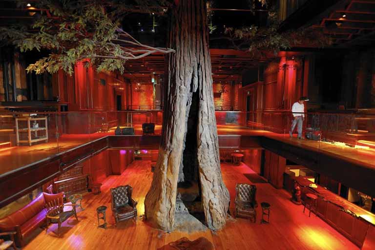 博物館假樹.jpeg 博物館假樹