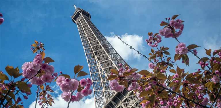 1585643093366765.jpg fdh.jpg