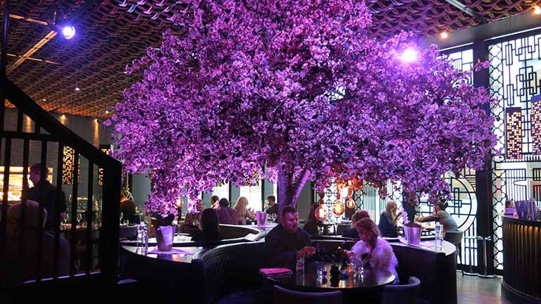 TCP仿真樹.jpg TCP仿真樹