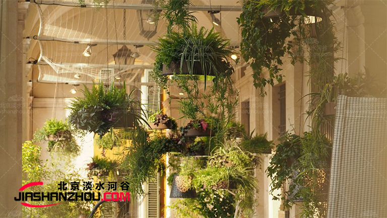 仿真樹.jpg 仿真樹