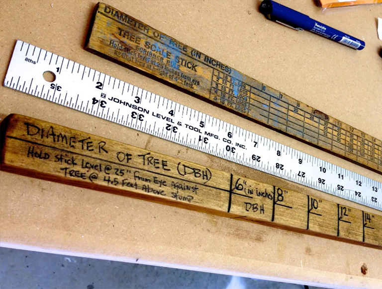 一棵樹的直徑在巡洋艦棍子上