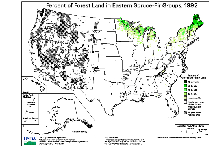 東部云杉杉木類(lèi)型地圖