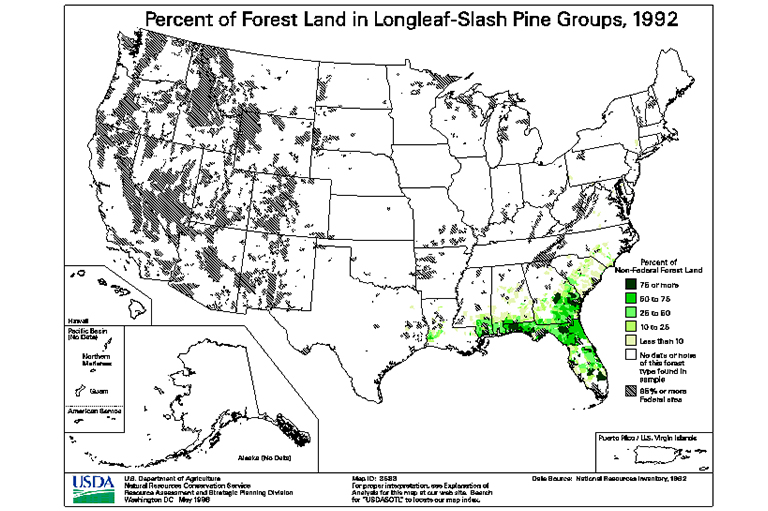 長(zhǎng)葉斜線松樹(shù)類(lèi)型地圖