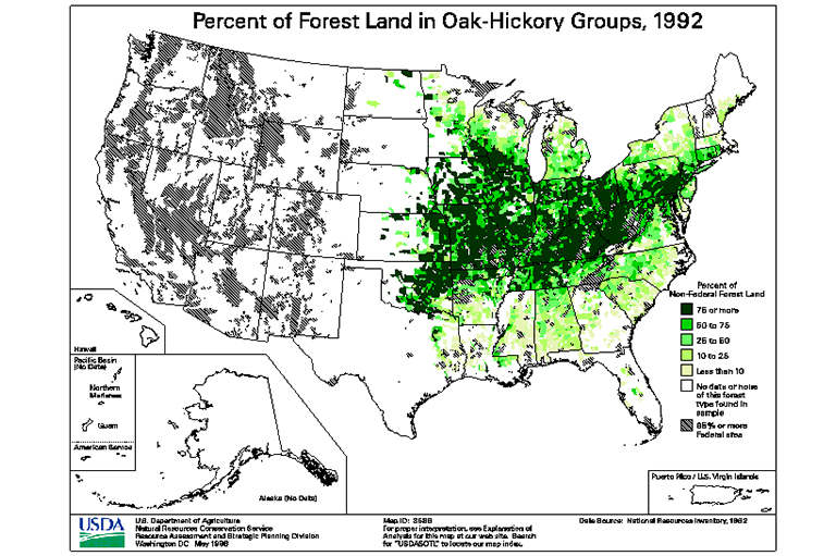 橡樹(shù)山核桃型地圖