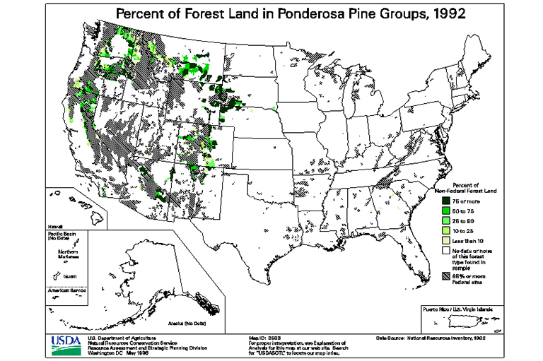 黃松類(lèi)型地圖