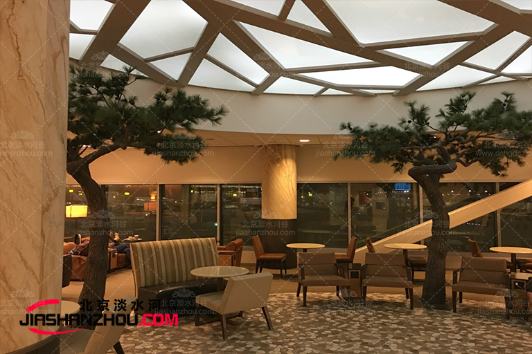 仿真樹.jpg 仿真樹