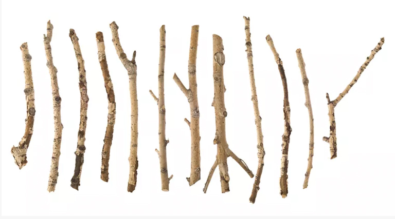 冬季樹(shù)木.jpg 冬季樹(shù)木