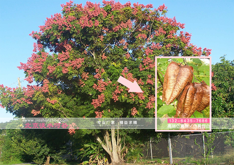 仿真樹.jpg 仿真樹