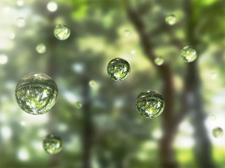 樹木通過根和葉吸收和蒸發(fā)水分的過程.jpg 樹木通過根和葉吸收和蒸發(fā)水分的過程