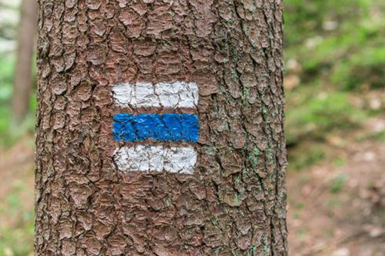 樹木標志.jpg 樹木標志