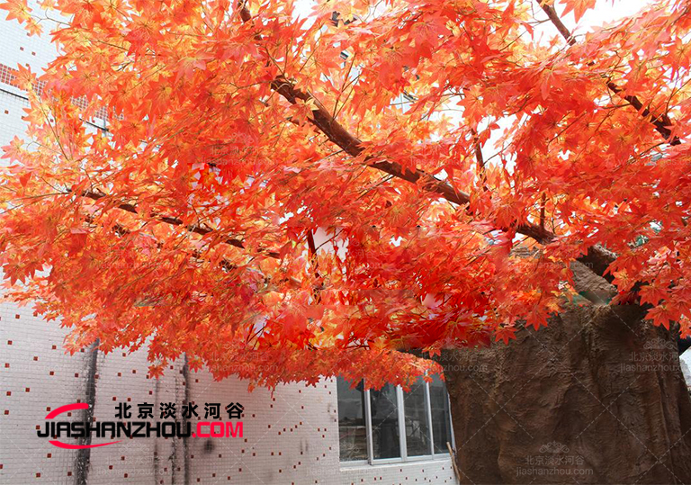 仿真樹.jpg 仿真樹