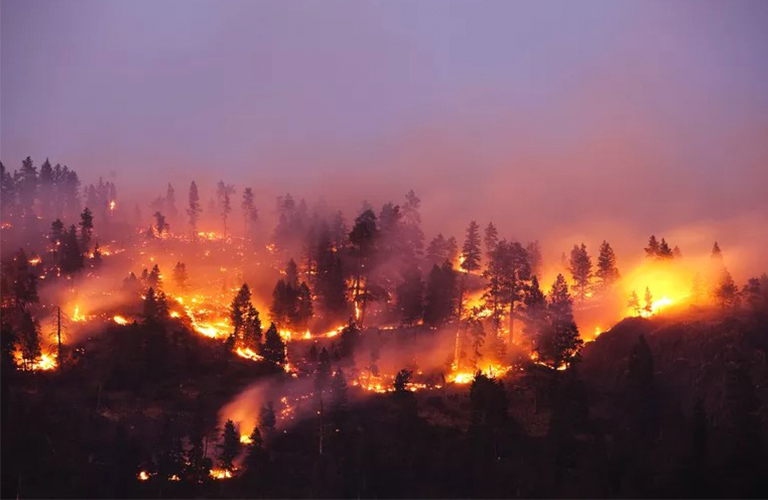 美國(guó)野火狀況報(bào)告和地圖.jpg 美國(guó)野火狀況報(bào)告和地圖