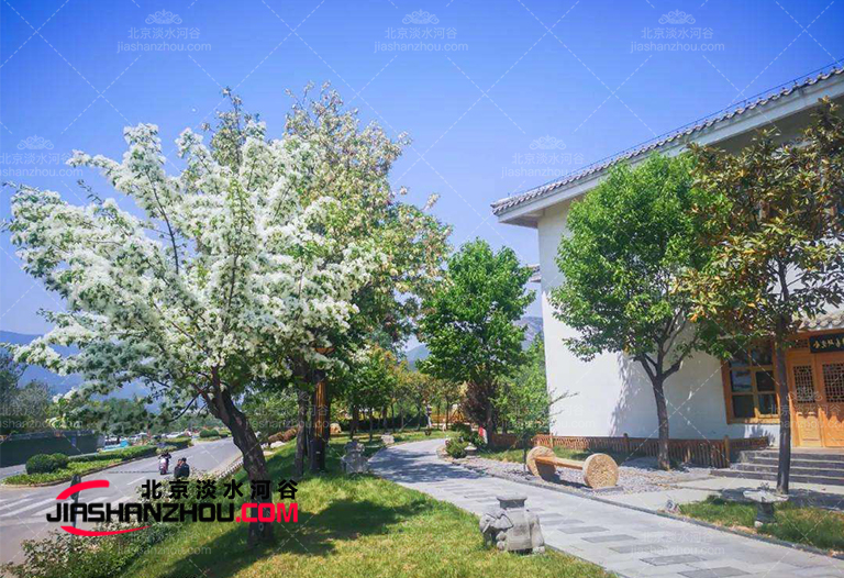 仿真樹.jpg 仿真樹