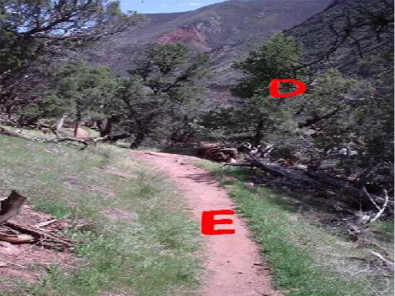 風(fēng)暴國王山紀(jì)念步道.jpg 風(fēng)暴國王山紀(jì)念步道