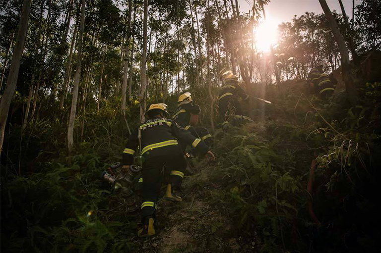 控制森林火災(zāi).jpg 控制森林火災(zāi)