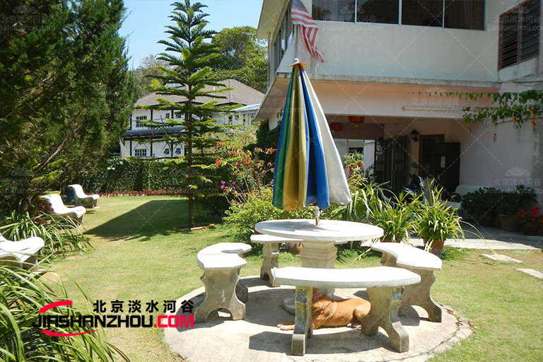 仿真樹.jpg 仿真樹