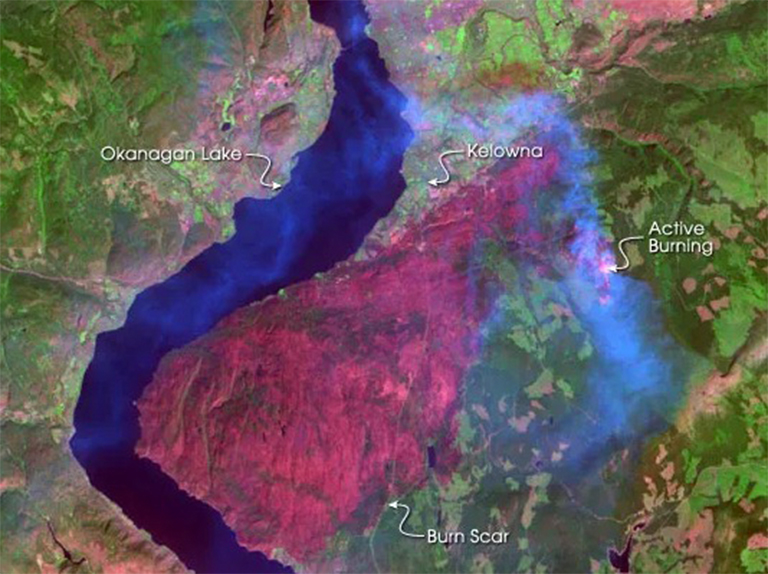 歐肯娜根山公園大火.jpg 歐肯娜根山公園大火