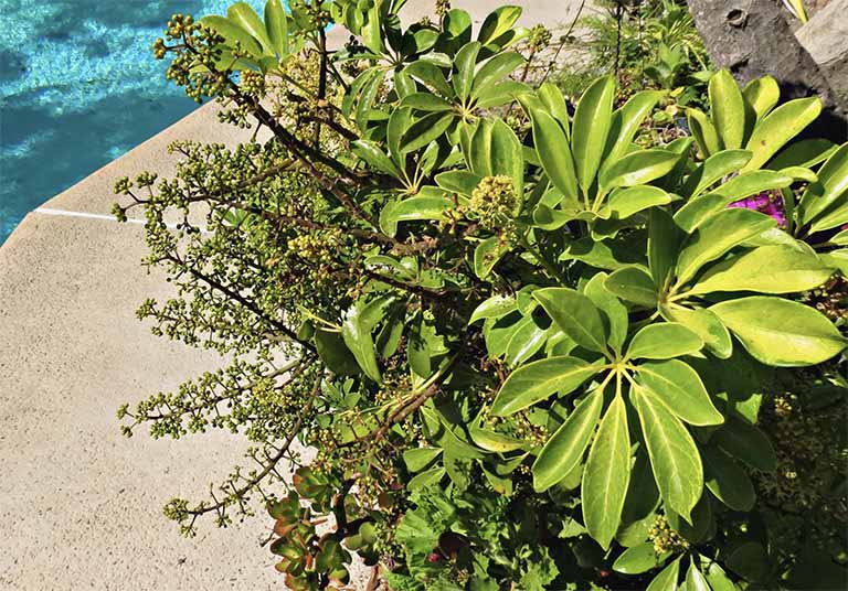 千層石景觀.jpg 千層石景觀