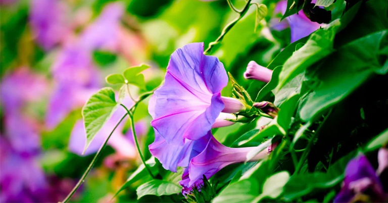 牽?；?/></p><p><span style=