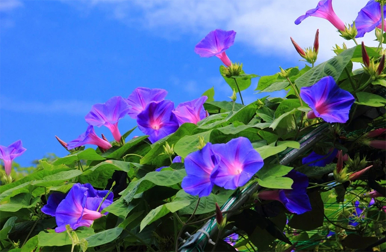 牽?；?/></p><p><span style=