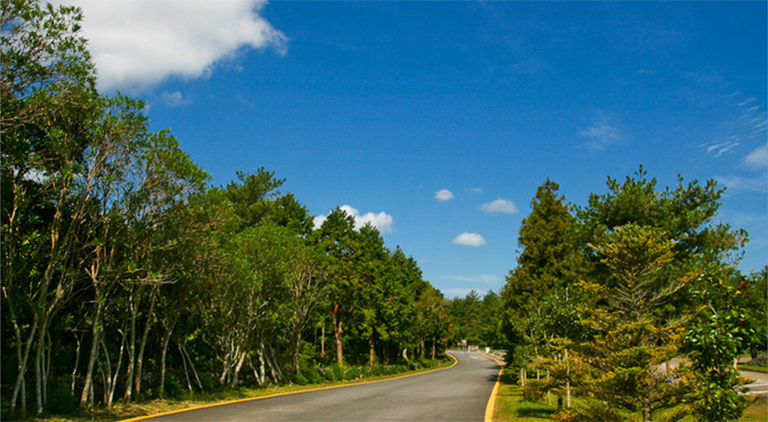 林地狩獵租賃.jpg 林地狩獵租賃