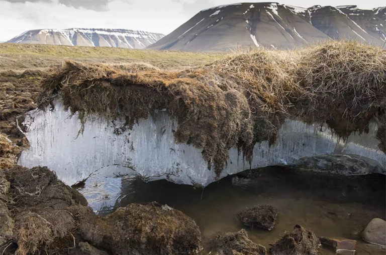 多年凍土.jpg 多年凍土