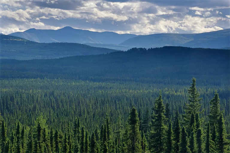 蒂亞加.jpg 蒂亞加