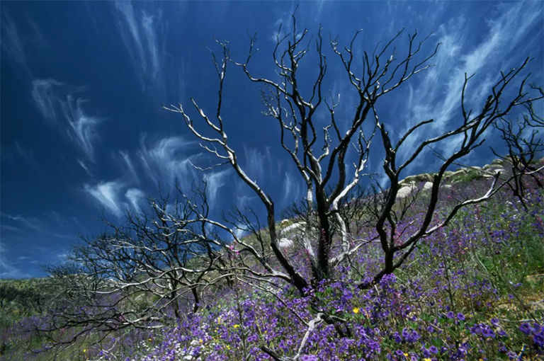 刻錄站點再生.jpg 刻錄站點再生