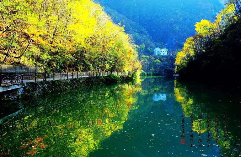 溫帶森林生態(tài)系統(tǒng).jpg 溫帶森林生態(tài)系統(tǒng)