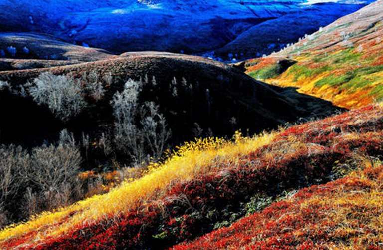 溫帶森林生態(tài)系統(tǒng).jpg 溫帶森林生態(tài)系統(tǒng)