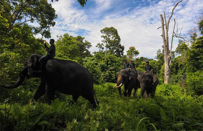 生物群落.jpg 生物群落