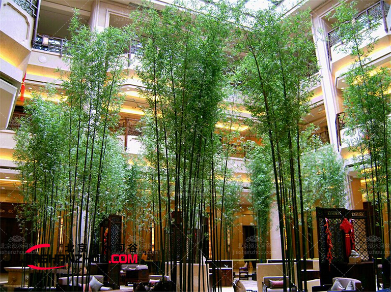 仿真樹.jpg 仿真樹