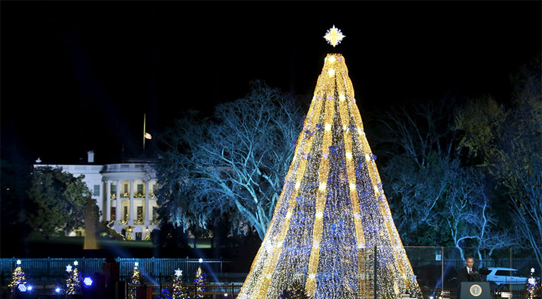 奧巴馬和假日樹(shù).jpg 奧巴馬和假日樹(shù)