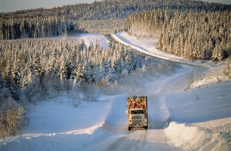 加拿大的森林砍伐.jpg 加拿大的森林砍伐