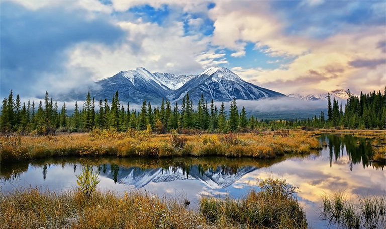 加拿大的森林砍伐.jpg 加拿大的森林砍伐