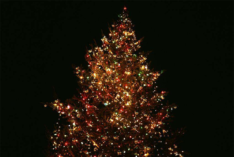 圣誕樹.jpg 圣誕樹