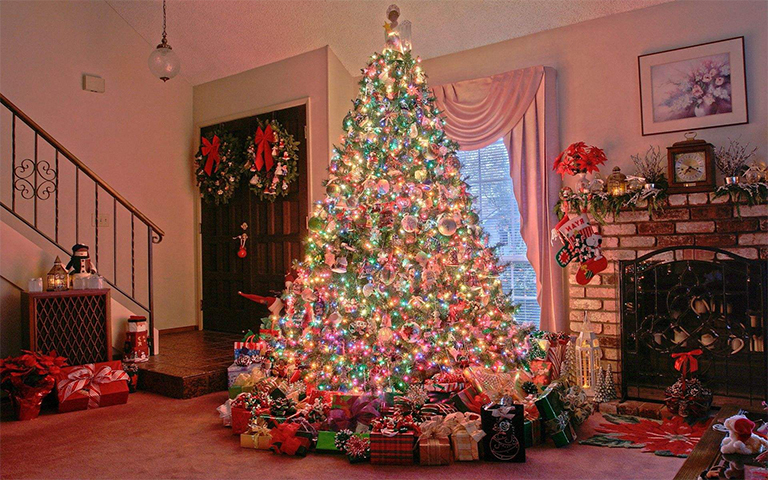 圣誕樹.jpg 圣誕樹