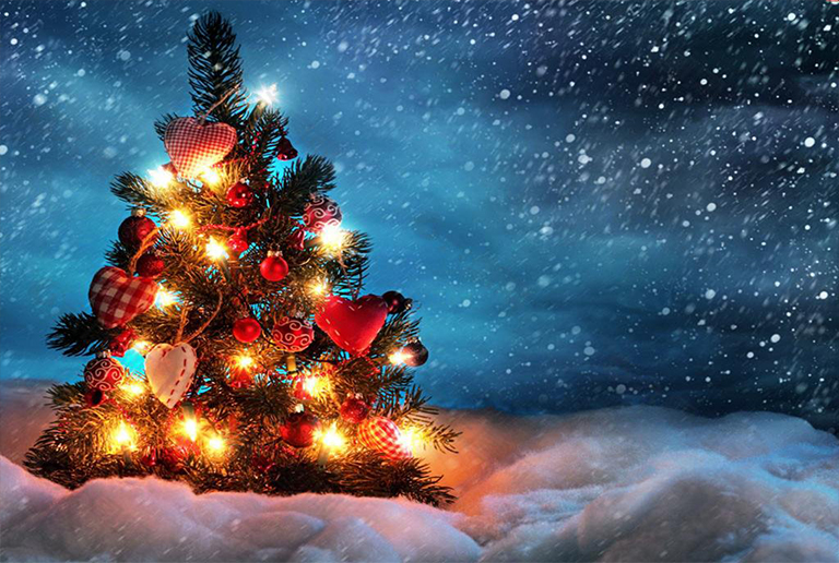 圣誕樹.jpg 圣誕樹