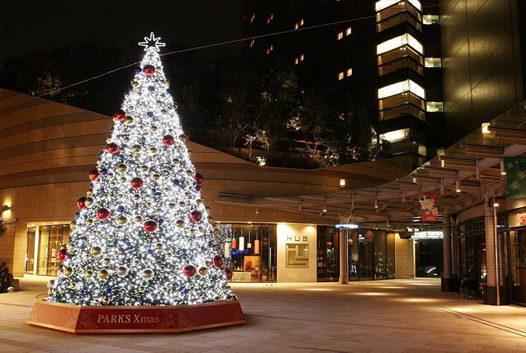 圣誕樹.jpg 圣誕樹