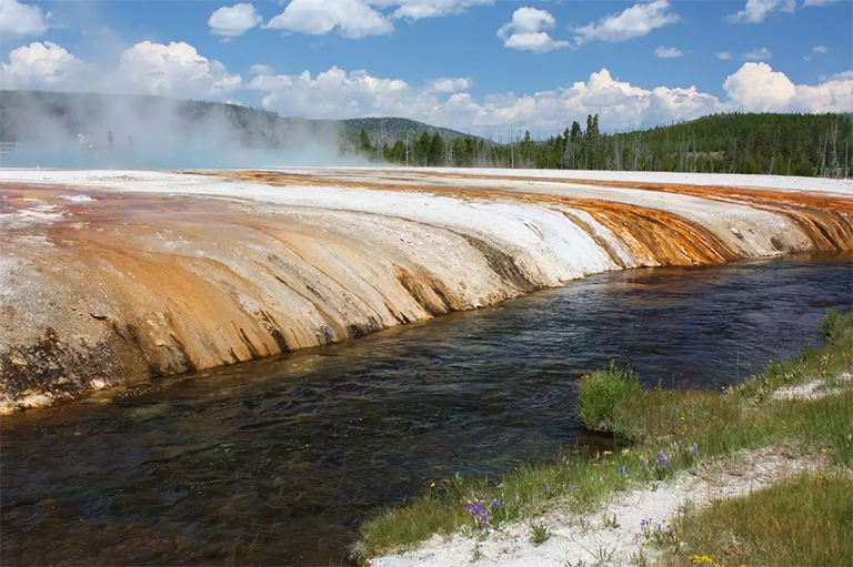 色帶來自在熱酸性水中大量繁殖的橙色藍(lán)細(xì)菌