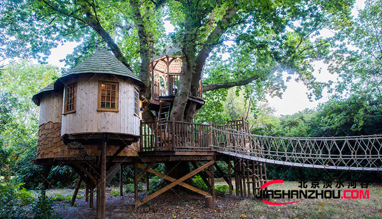 仿真樹.jpg 仿真樹