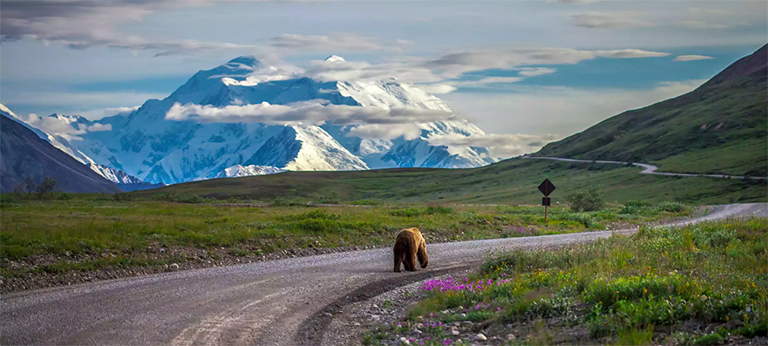 德納利國家公園和自然保護(hù)區(qū)