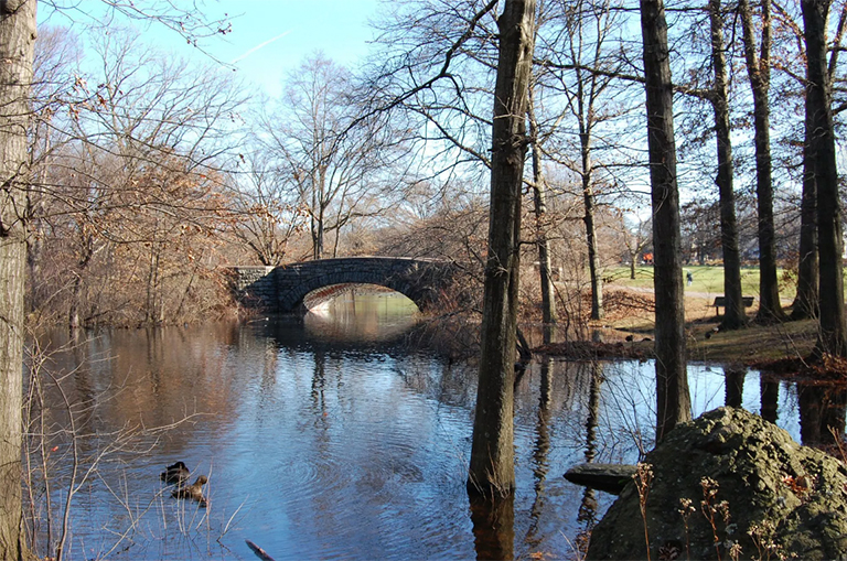 石橋梁的照片在安靜的池塘的在一個公開高爾夫球場上