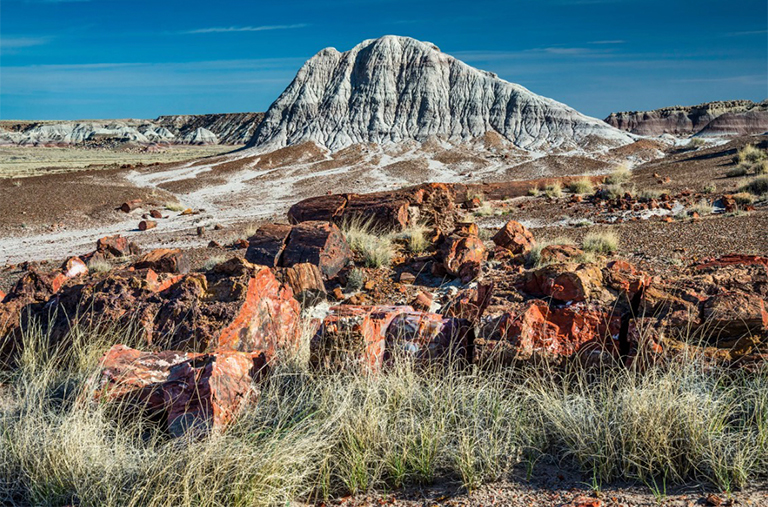 石化森林國家公園.jpg 石化森林國家公園