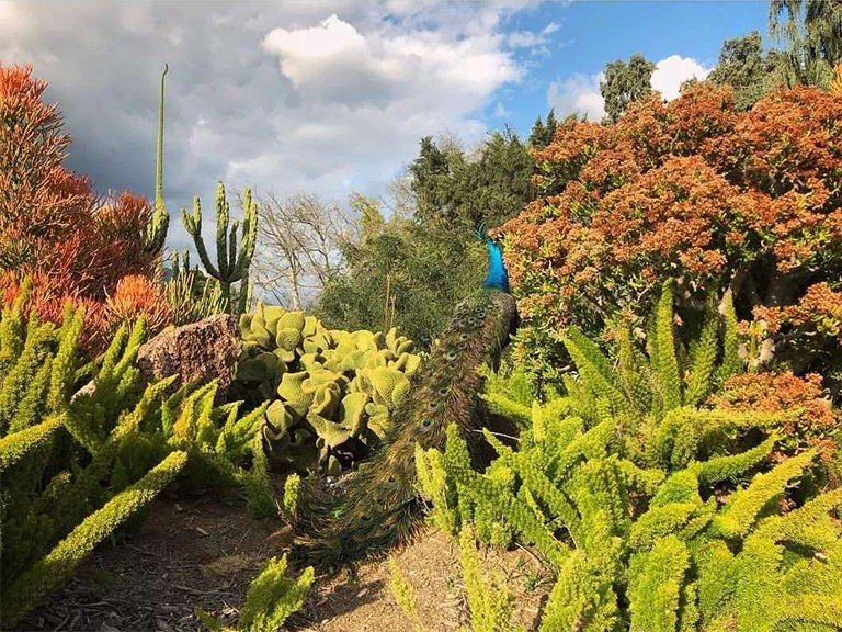 動植物園.jpg 動植物園