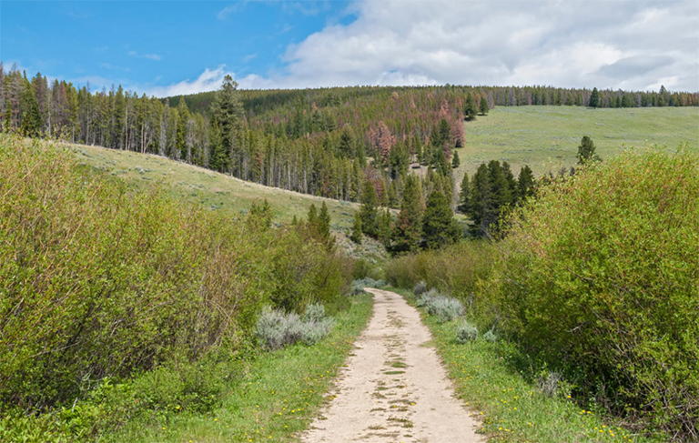 大洞國家戰(zhàn)場.jpg 大洞國家戰(zhàn)場