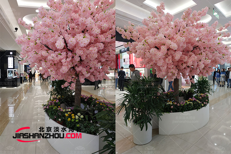 仿真樹(shù).jpg 仿真樹(shù)