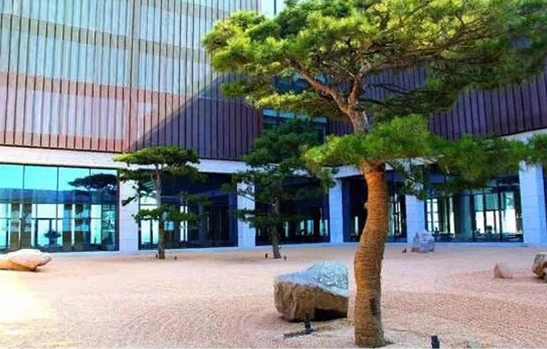 高仿真松樹(shù)